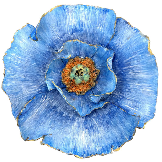 Celestial Poppy