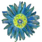 Azure Daisy