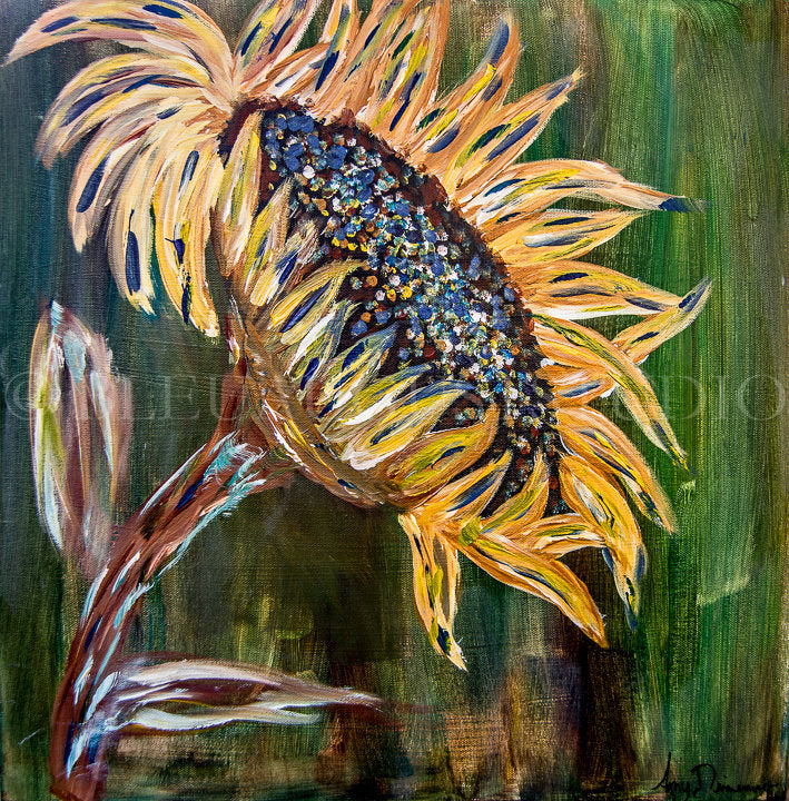 Tournesol