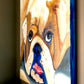 Duke